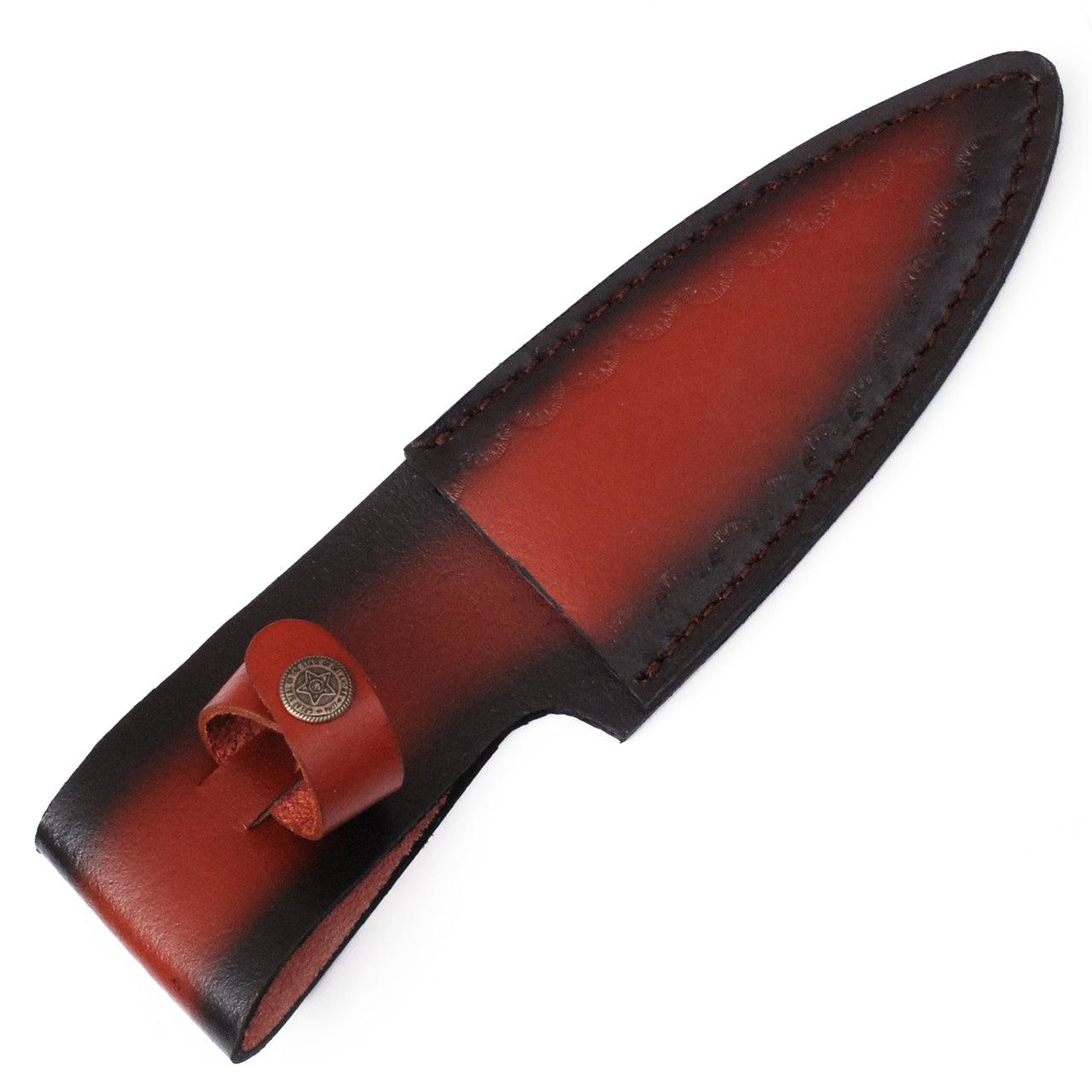 Bear Claw Fixed Blade Outdoor Hunting Knife-3